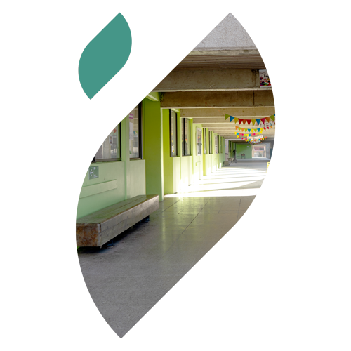 fundacionelsauce fundacion el sauce #fundacionelsauce Fundación El Sauce #FundaciónElSauce #Elsauce Elsauce elsaucefundacion Lo espejo FundacionElsauceLoespejo